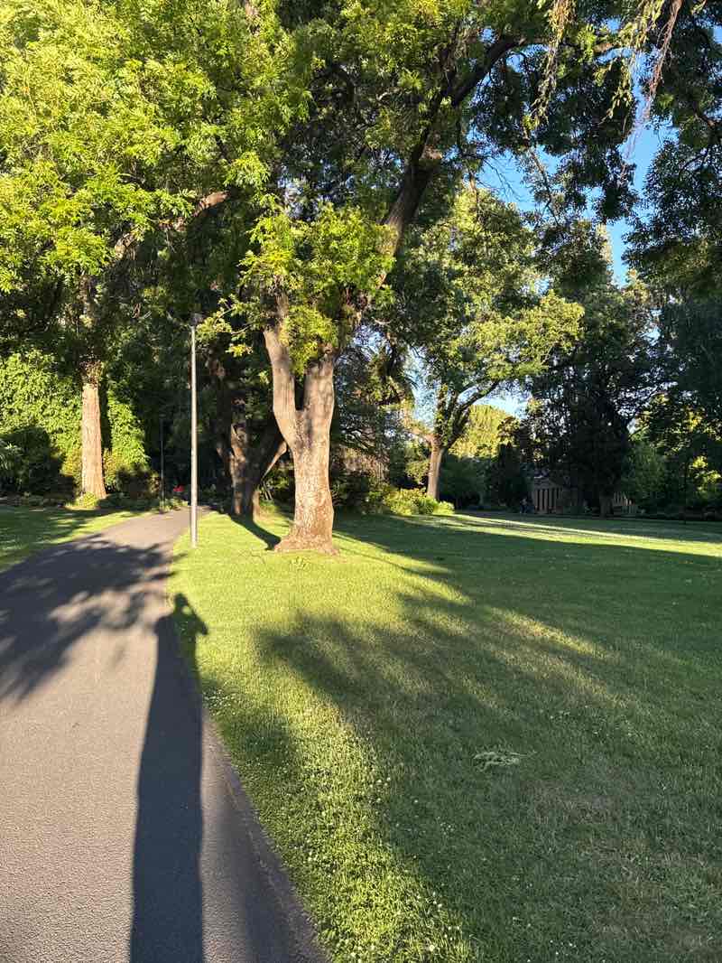 walking near me in St David's Park in summer