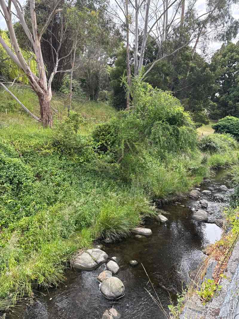 walking near me in Hobart Rivulet Linear Park in summer