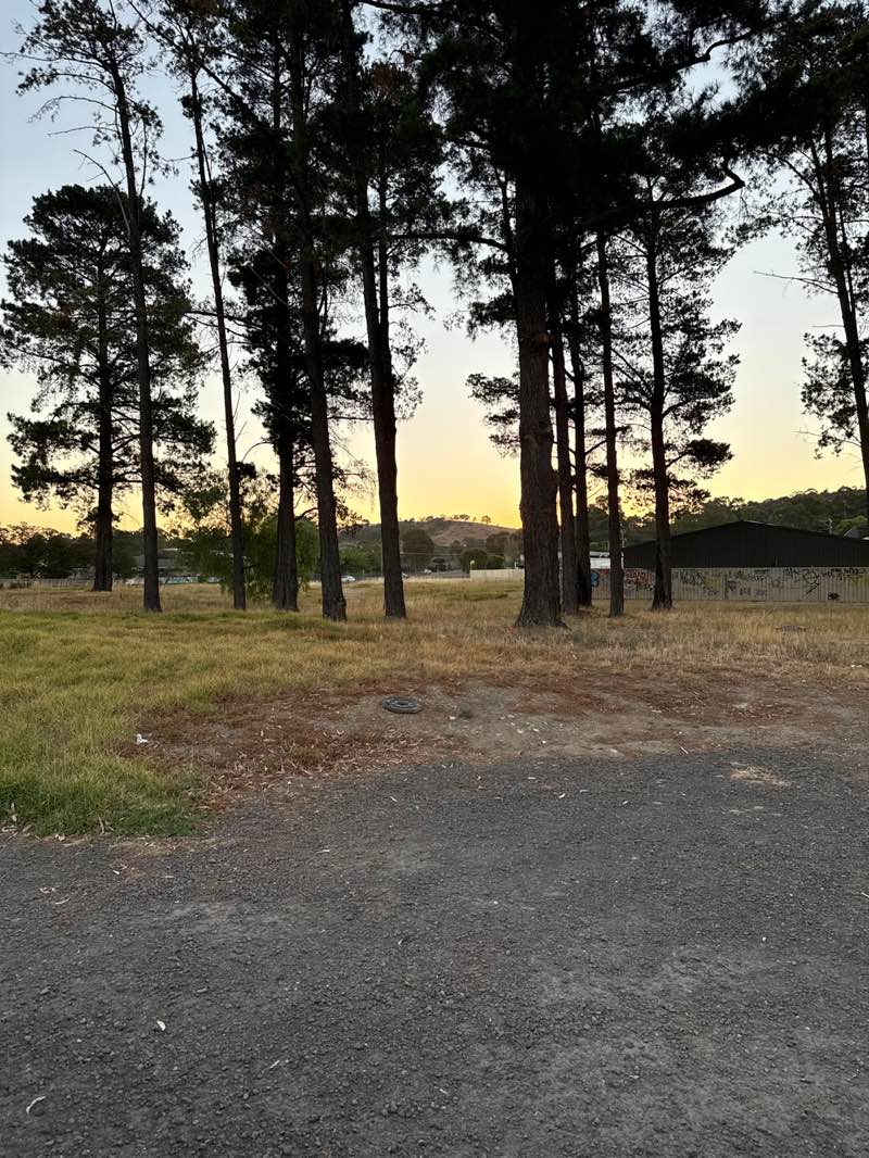 walking near me in Railway Reserve in summer