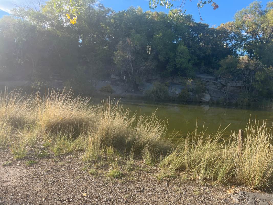 walking near me in Duck Pond Park in autumn