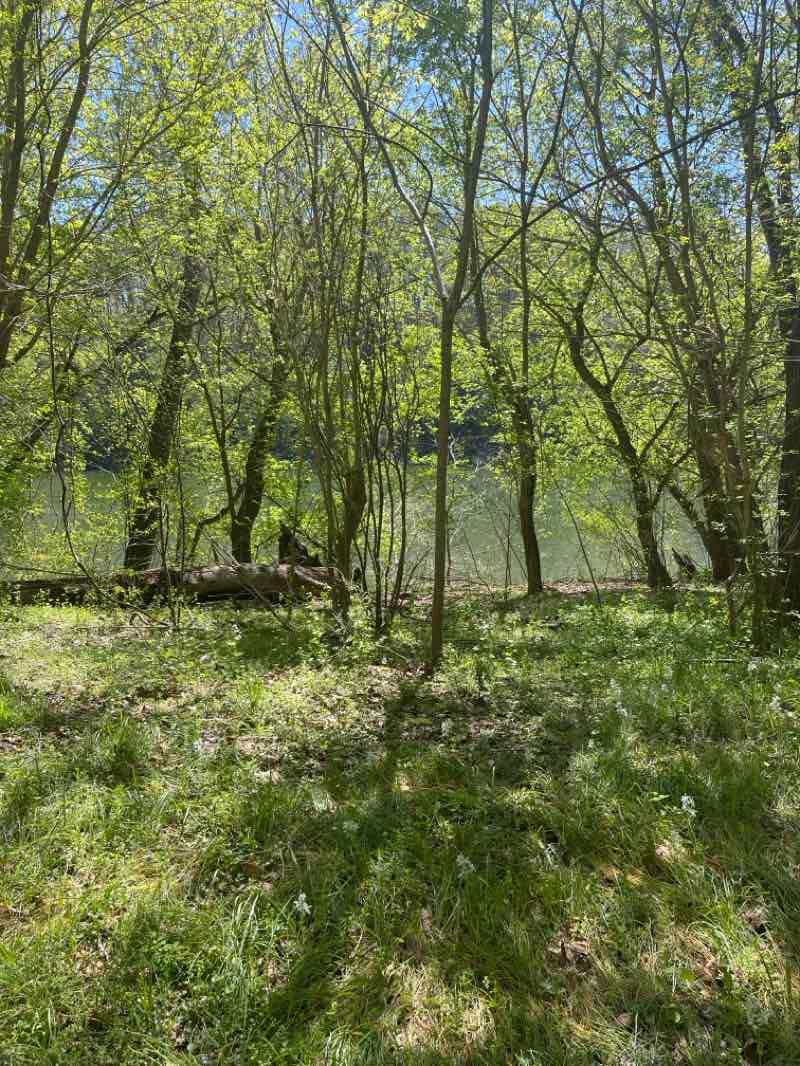 walking near me in Chesapeake and Ohio Canal National Historical Park in spring