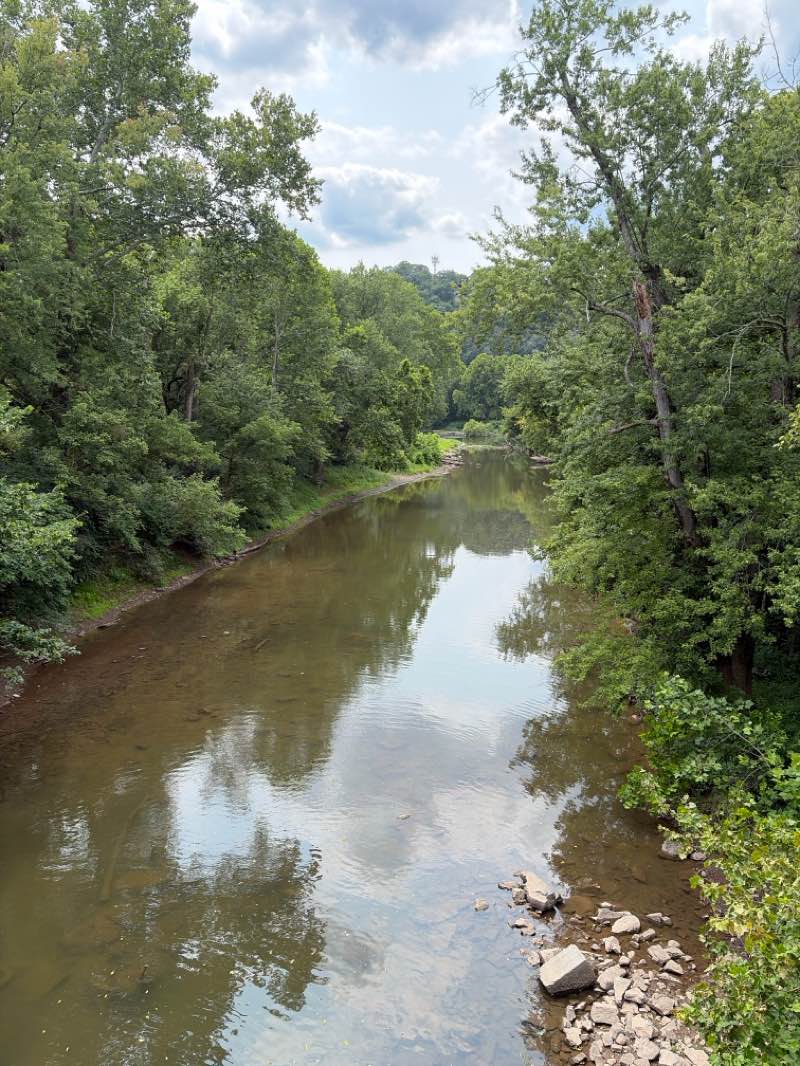 walking near me in Western Maryland Rail Trail in summer