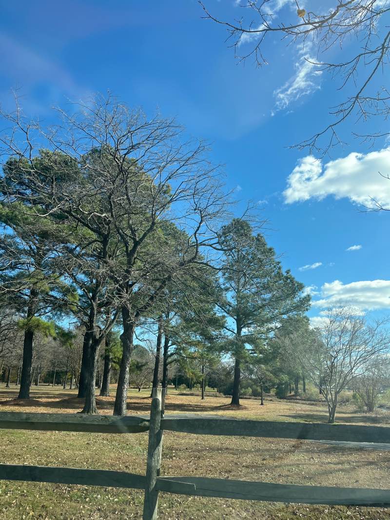 walking near me in Long Point Park in autumn