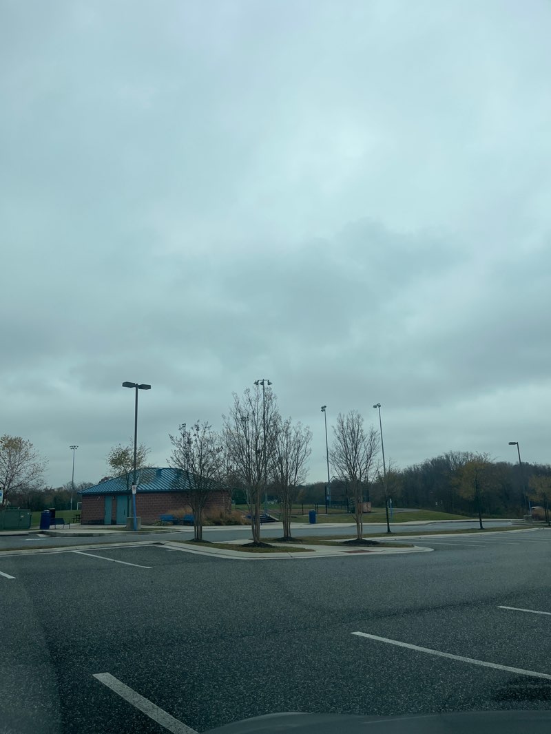 walking near me in Gough Park in autumn