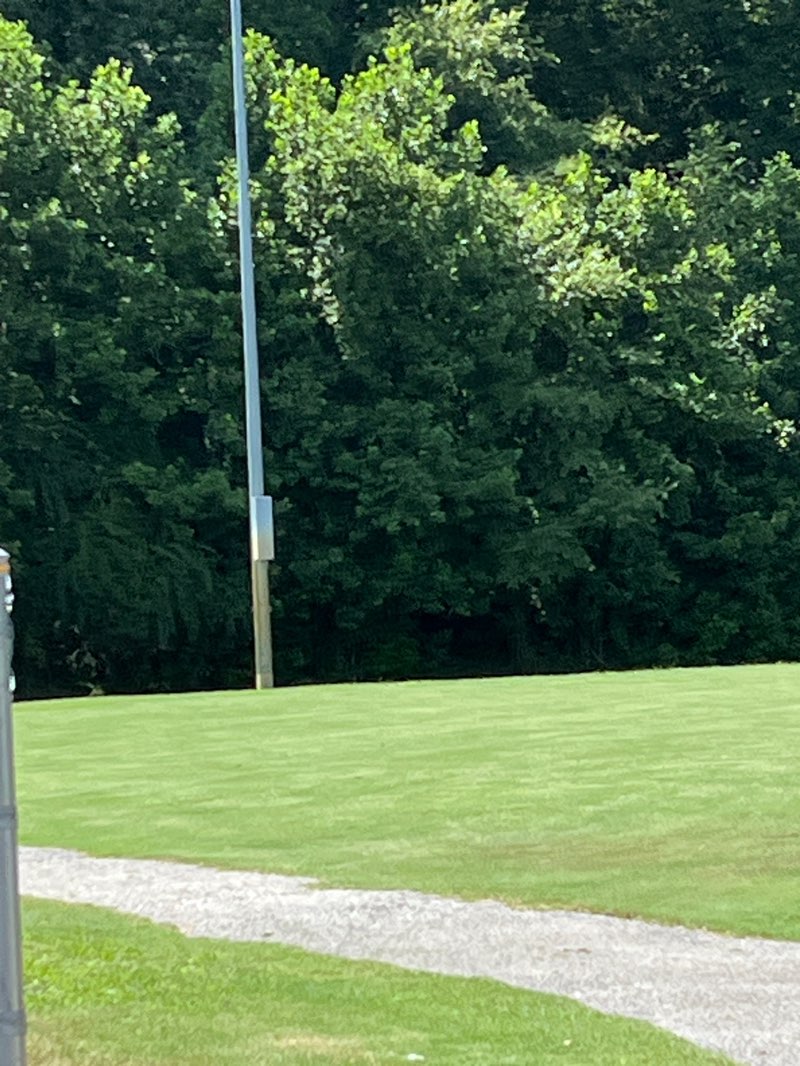 walking near me in Dunkirk District Park in autumn