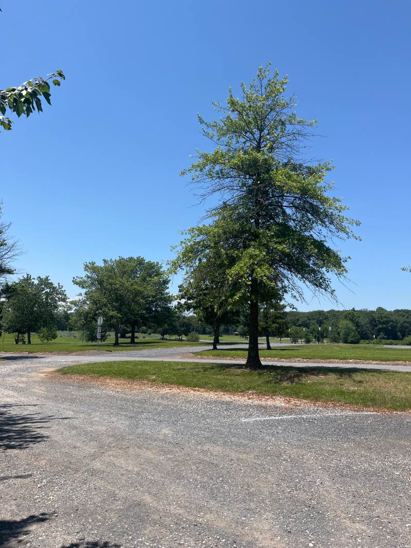 walking near me in Oakside Community Park in summer