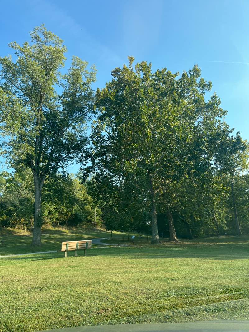 walking near me in Carroll Commons Park in autumn