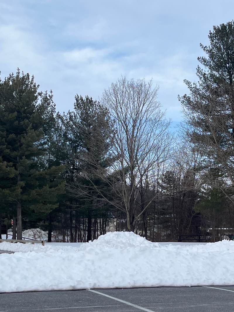 walking near me in Libertytown Community Park in winter