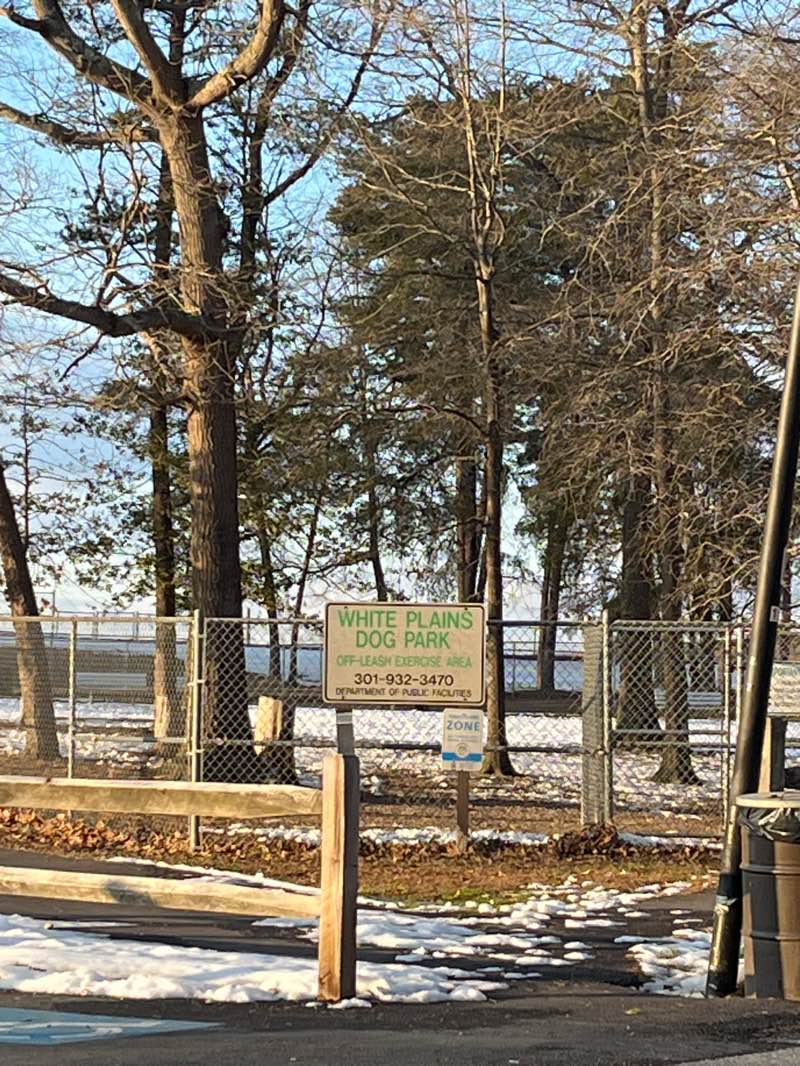 walking near me in White Plains Regional Park in winter