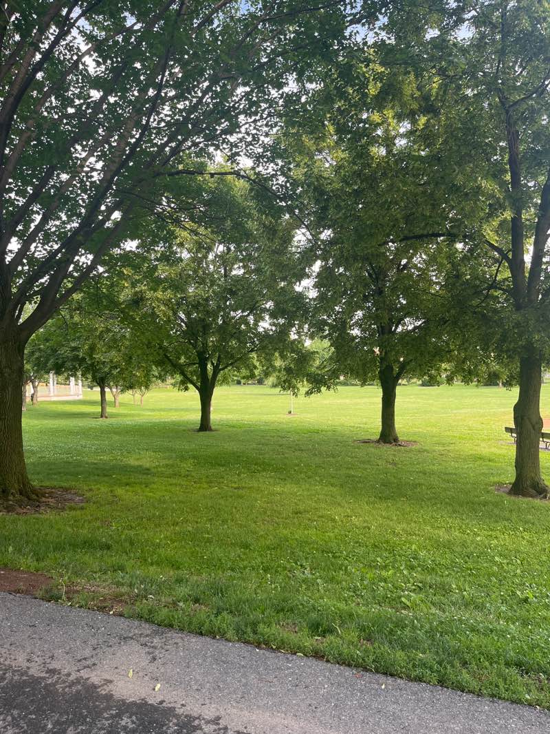walking near me in Baker Park in summer
