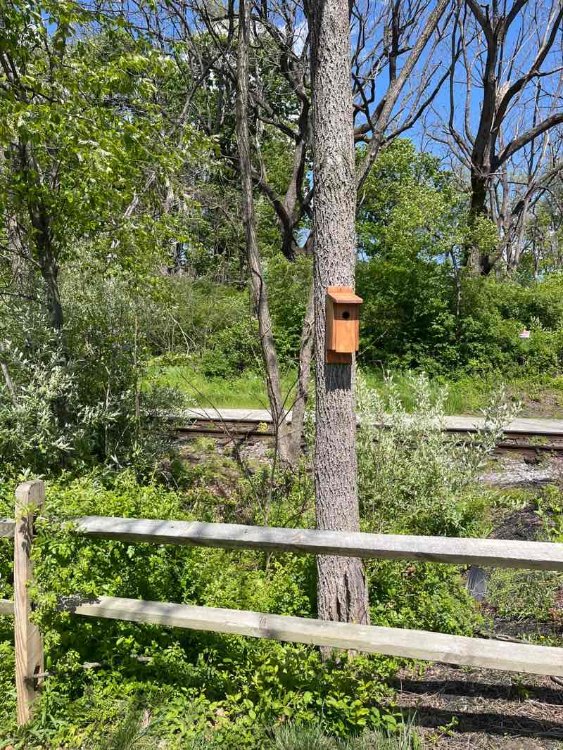 walking near me in Heritage Rail Trail County Park in spring