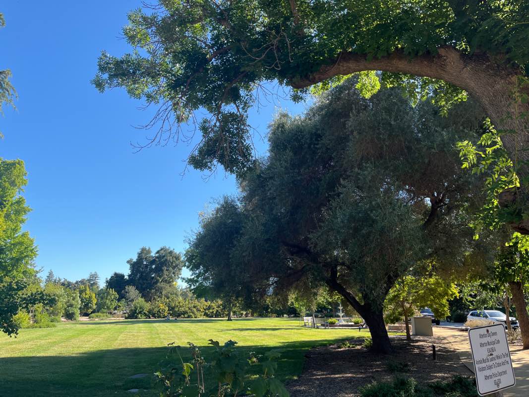 walking near me in Holbook Palmer Park in summer
