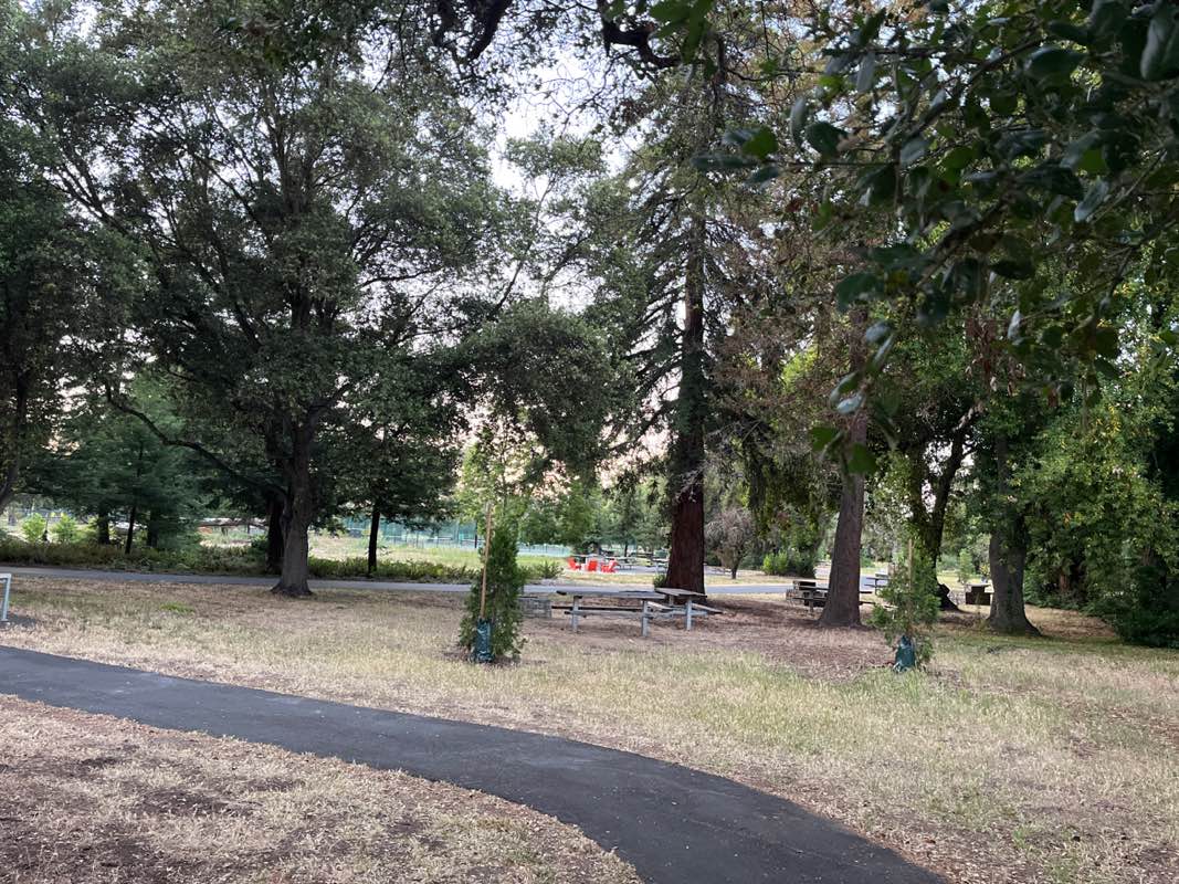 walking near me in Flood County Park in summer
