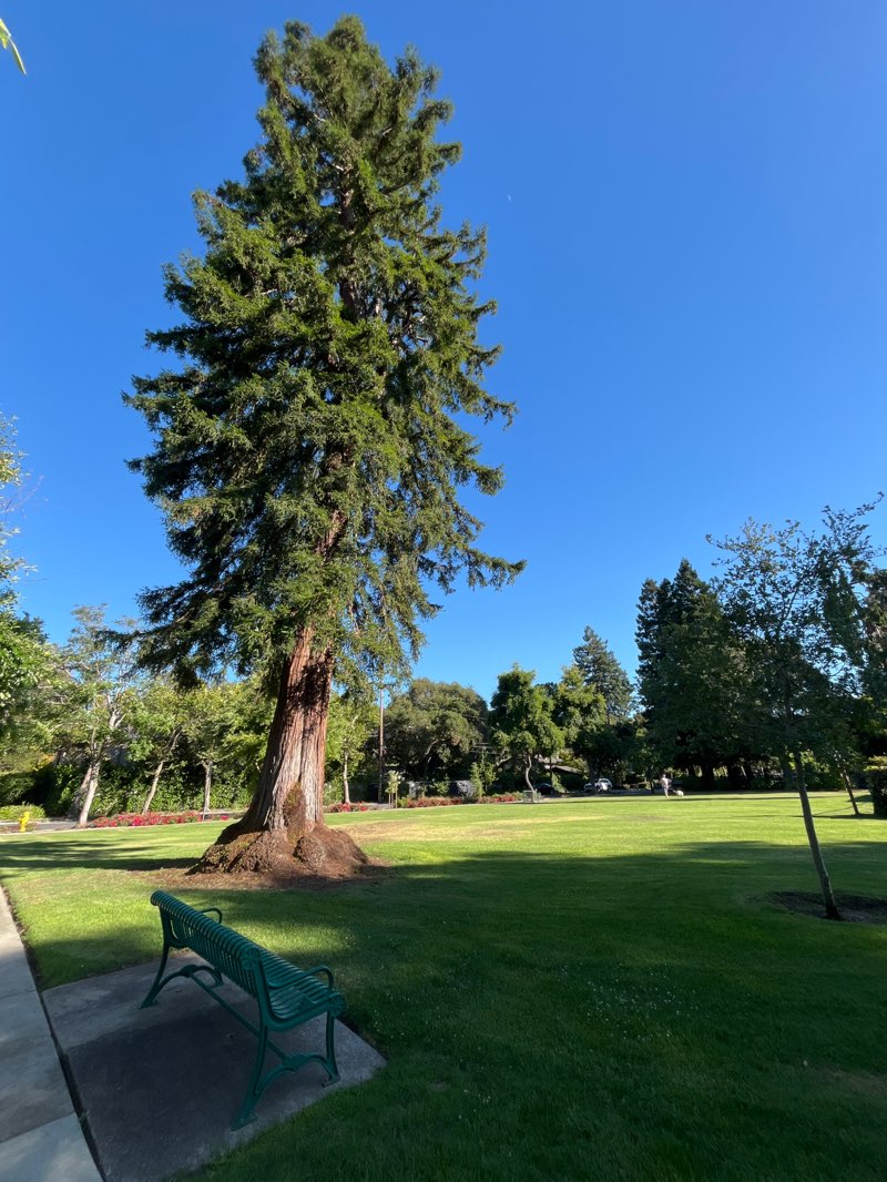 walking near me in Bowling Green Park in summer