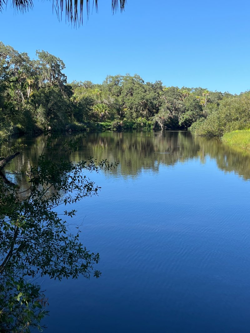 walking near me in Sleeping Turtles Preserve - North (Ligon) in winter
