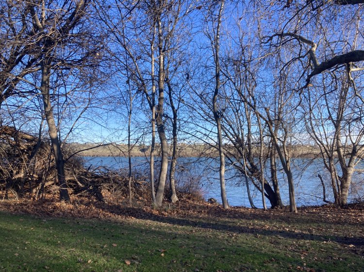 walking near me in Leslie Groves Park in winter