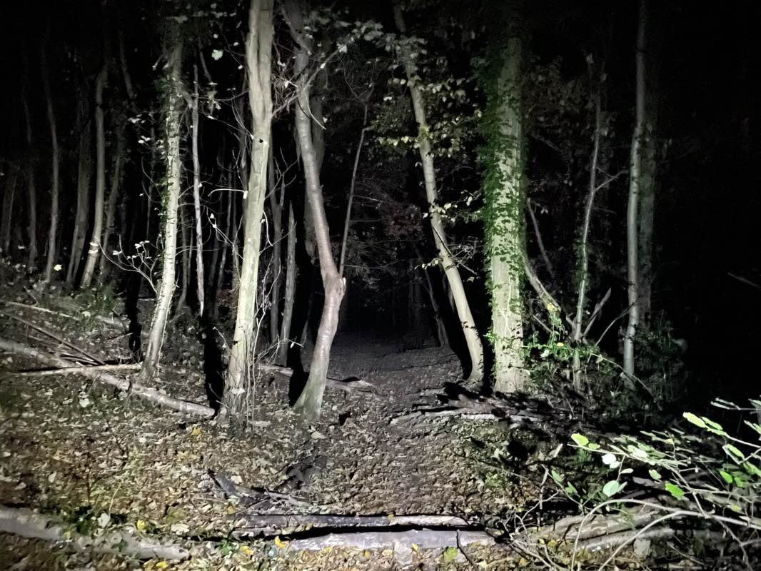 walking near me in Lowndes Park in winter