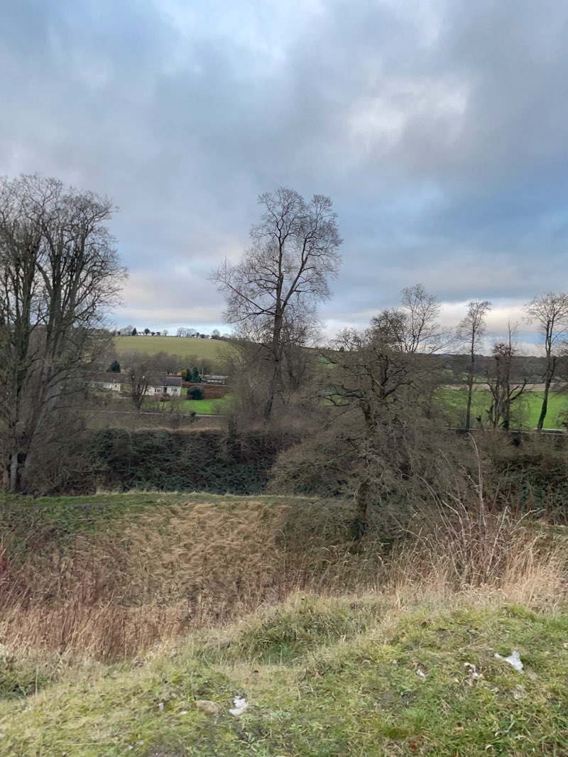 walking near me in Canal Fields park in winter