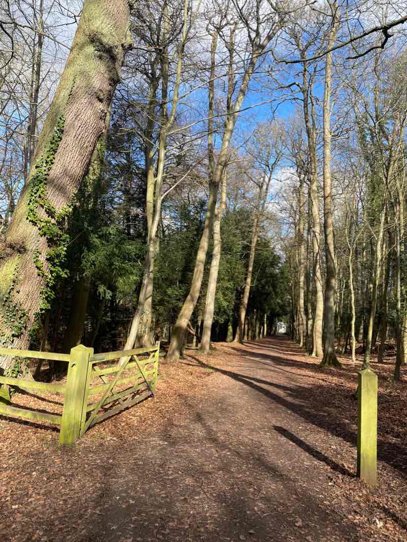 walking near me in Tring Park in winter