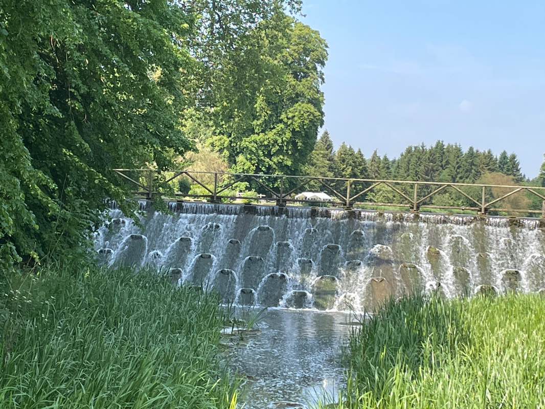 walking near me in Westwood Park in winter