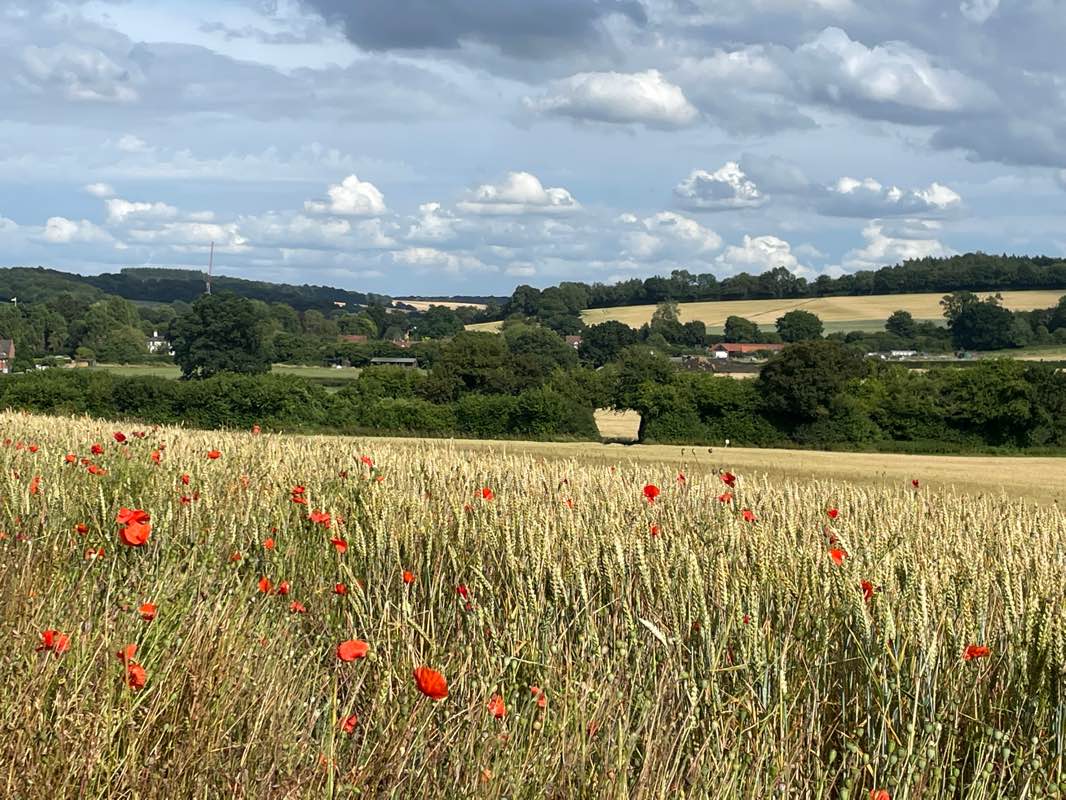 walking near me in Little Kingshill Recreation Park in winter