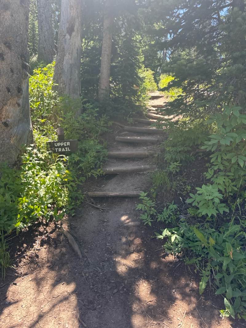 walking near me in Cedar Breaks National Monument in summer