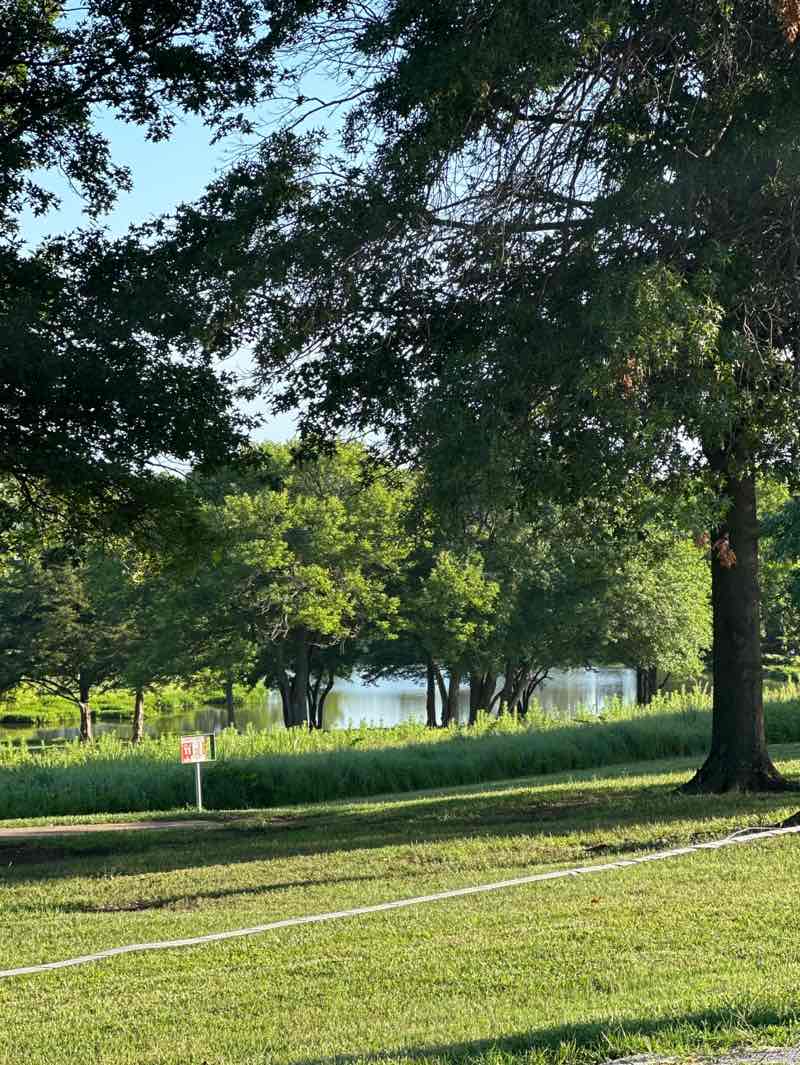 walking near me in Jones Park in summer