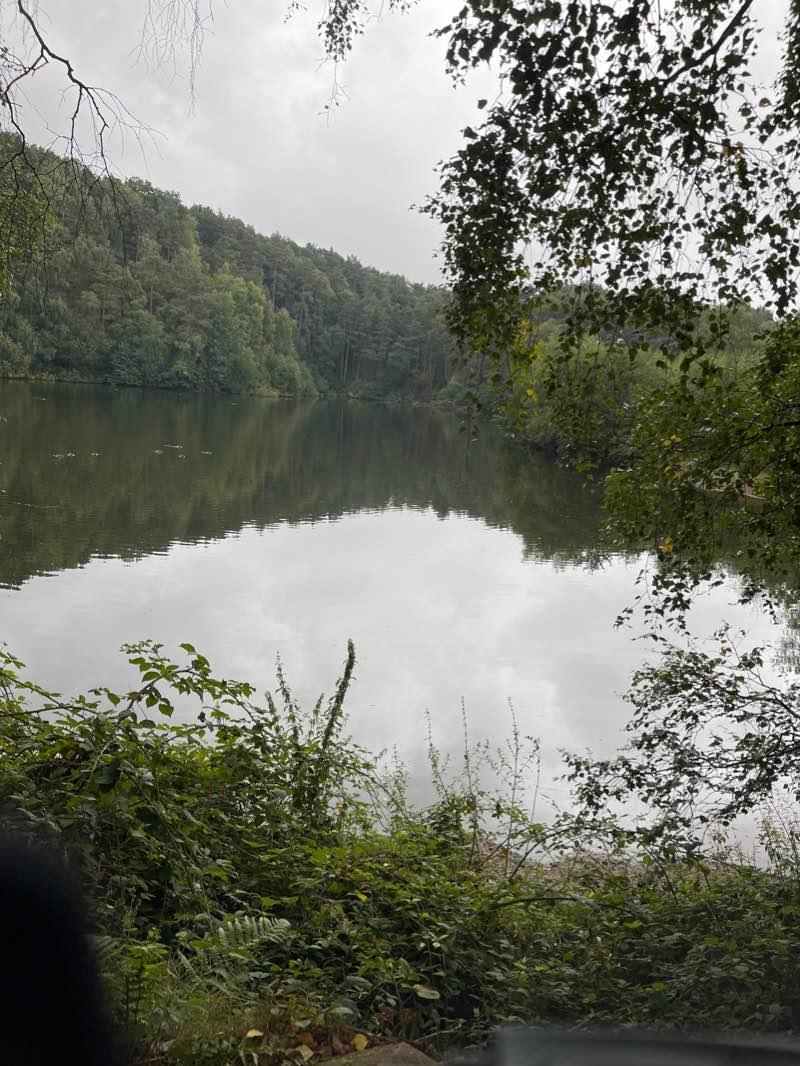 walking near me in Castle View Park in winter