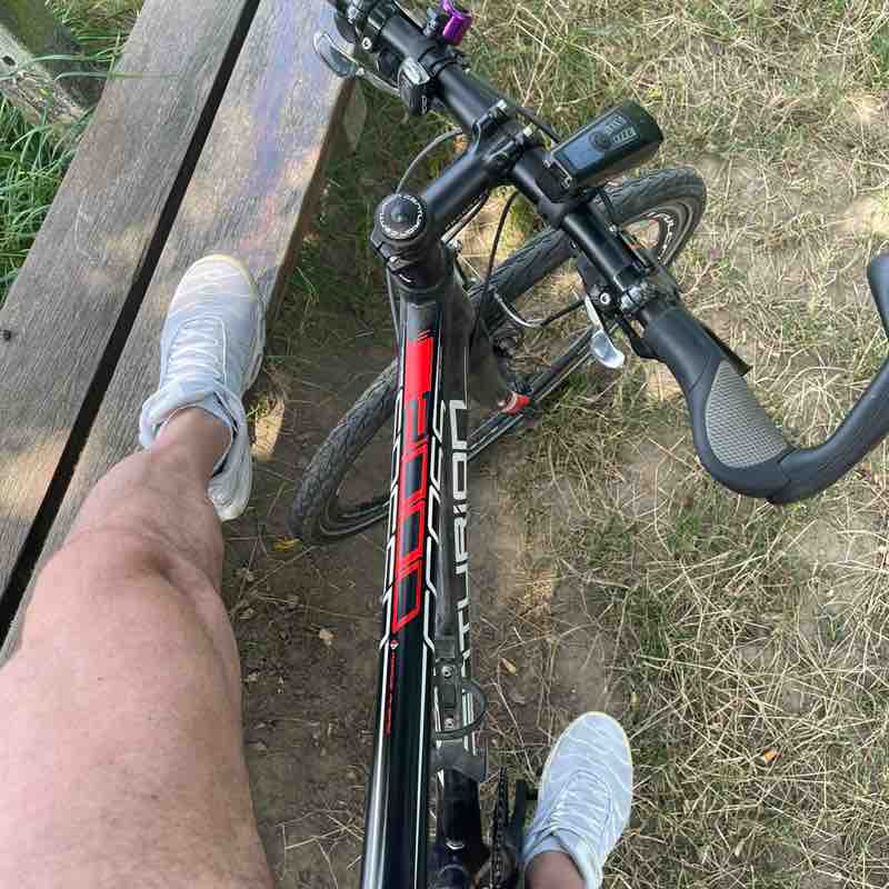 Alex 🤼🚴‍♂️🧗🎿 post 1