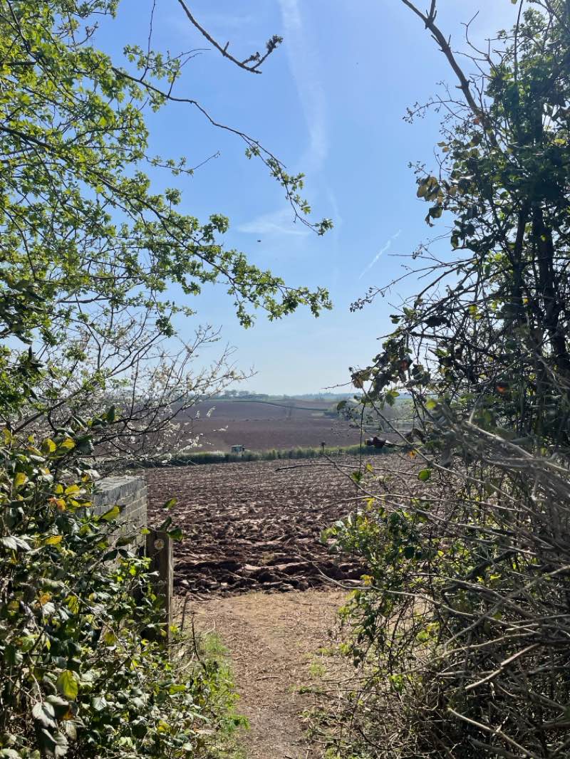 walking near me in Newbold Comyn in spring