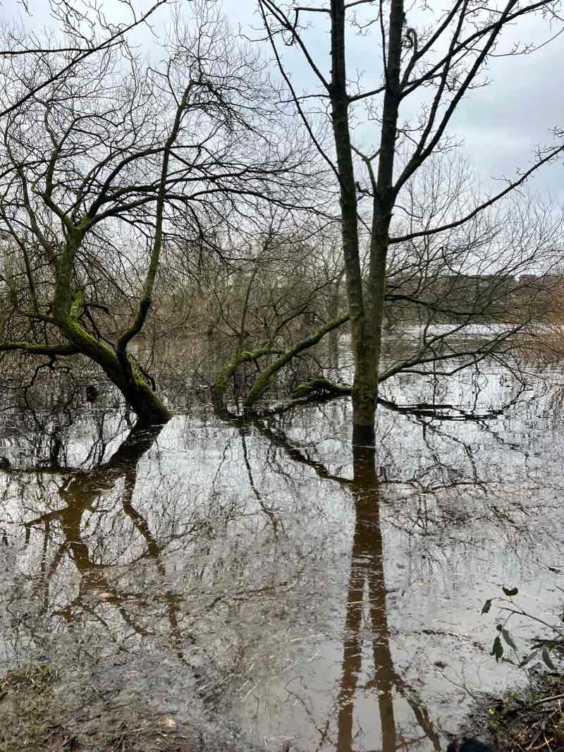 walking near me in Green Ayre in winter