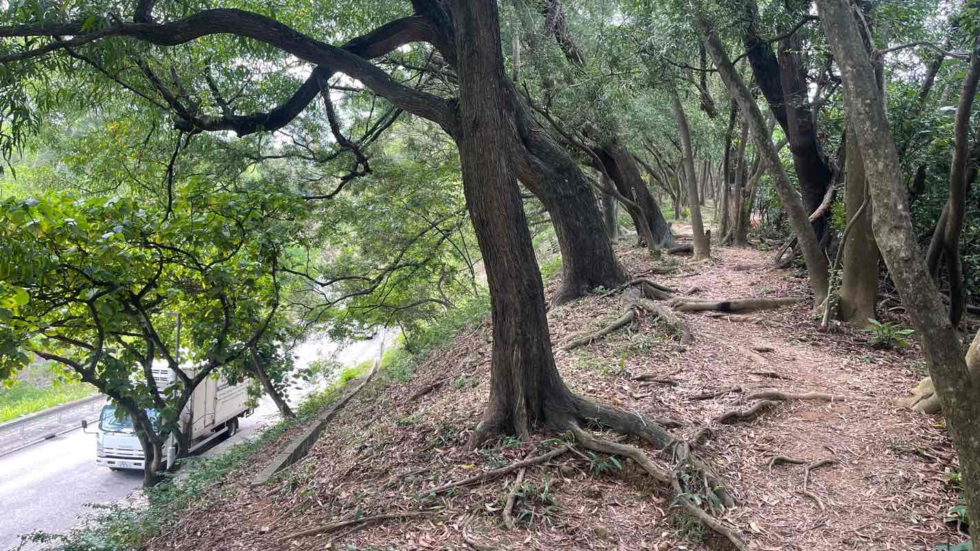 walking near me in Tsing Yi Northeast Park in winter