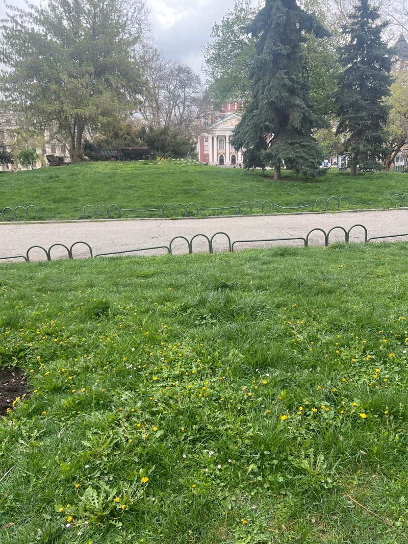 walking near me in City Garden in spring