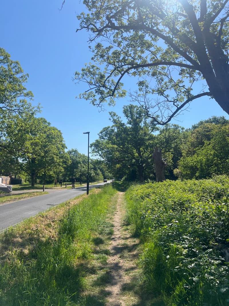 walking near me in Ham Common in spring