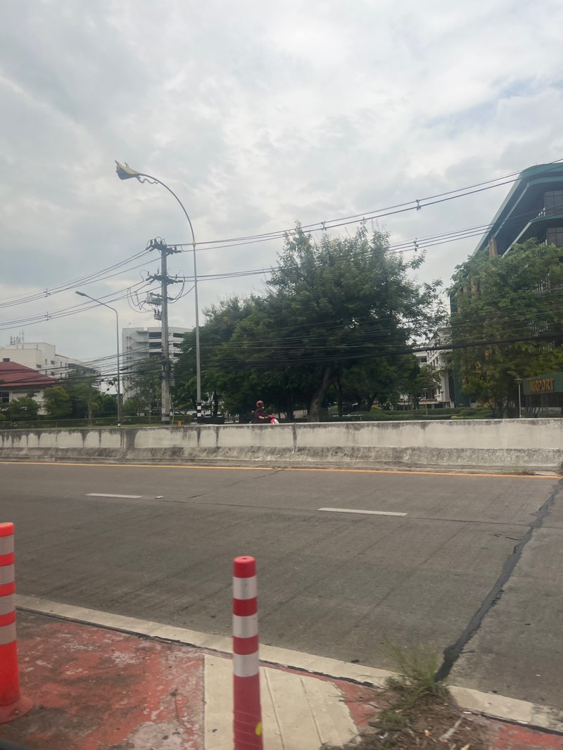 walking near me in Kanchanpisek Park in summer