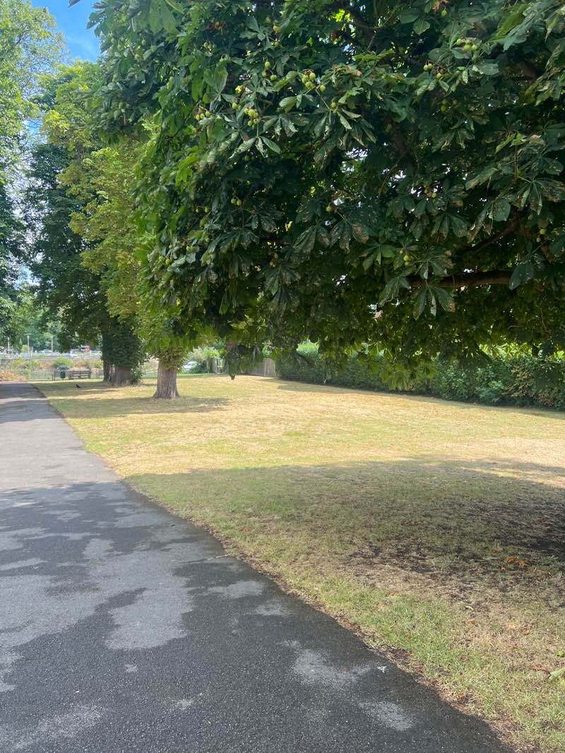 walking near me in Manor Road Recreation Ground in summer