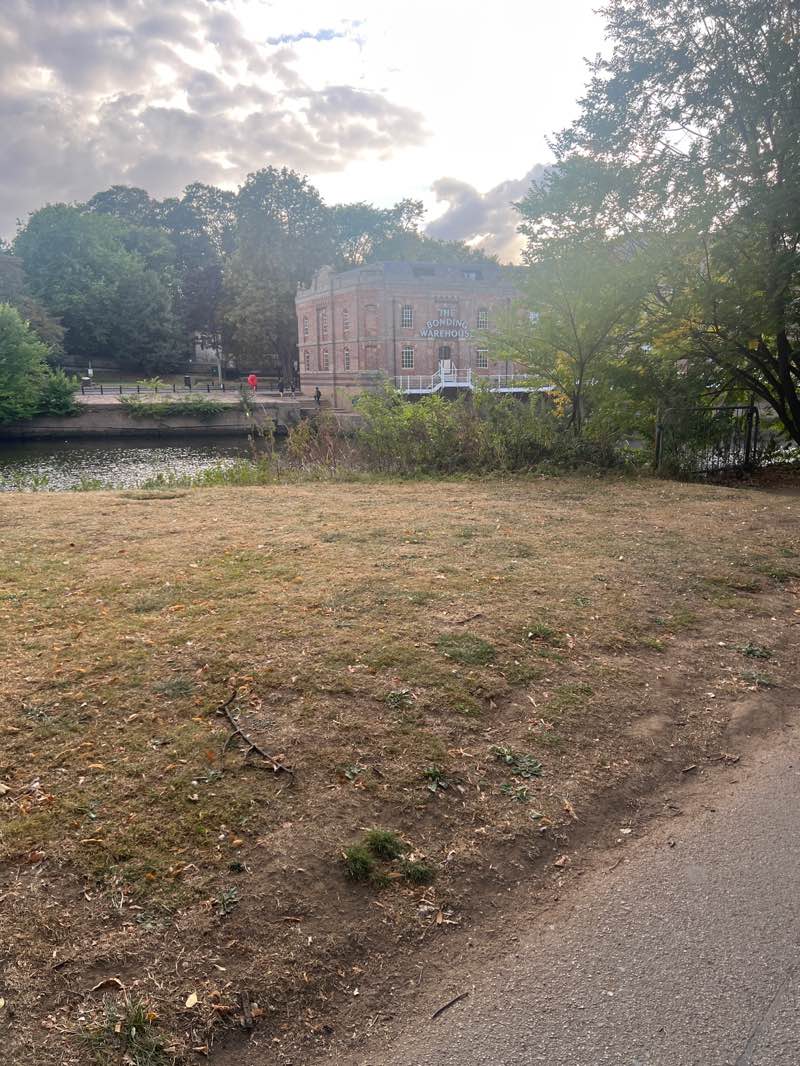 walking near me in Tower Gardens, St George's Field in autumn