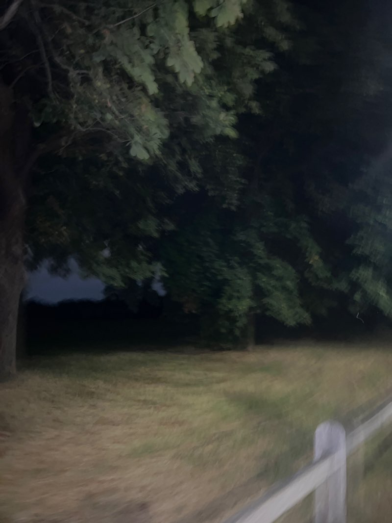 walking near me in Hampton Court Green in autumn