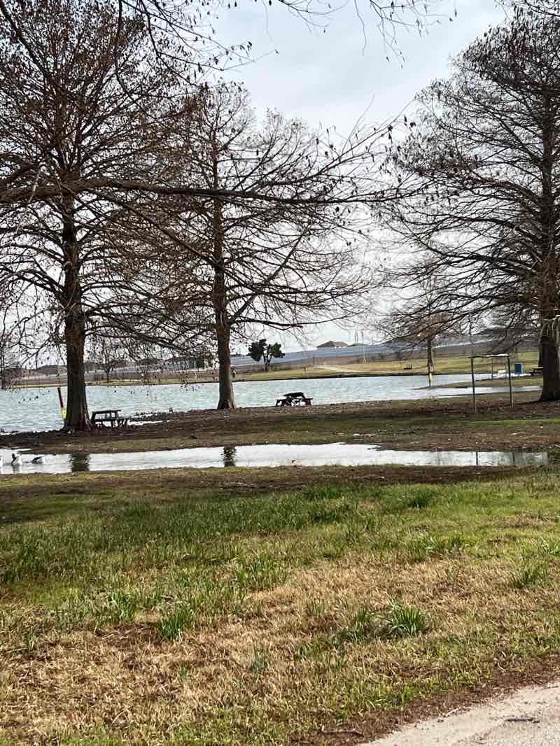 walking near me in Tarrant Park in winter