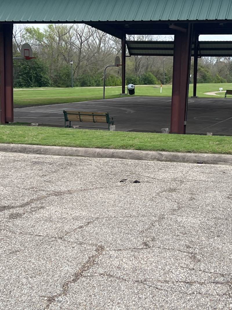 walking near me in Wilson Park in spring