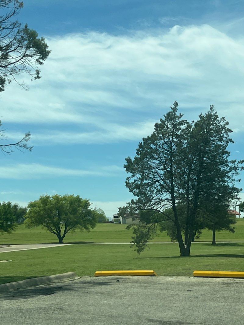 walking near me in Wilson Park in spring