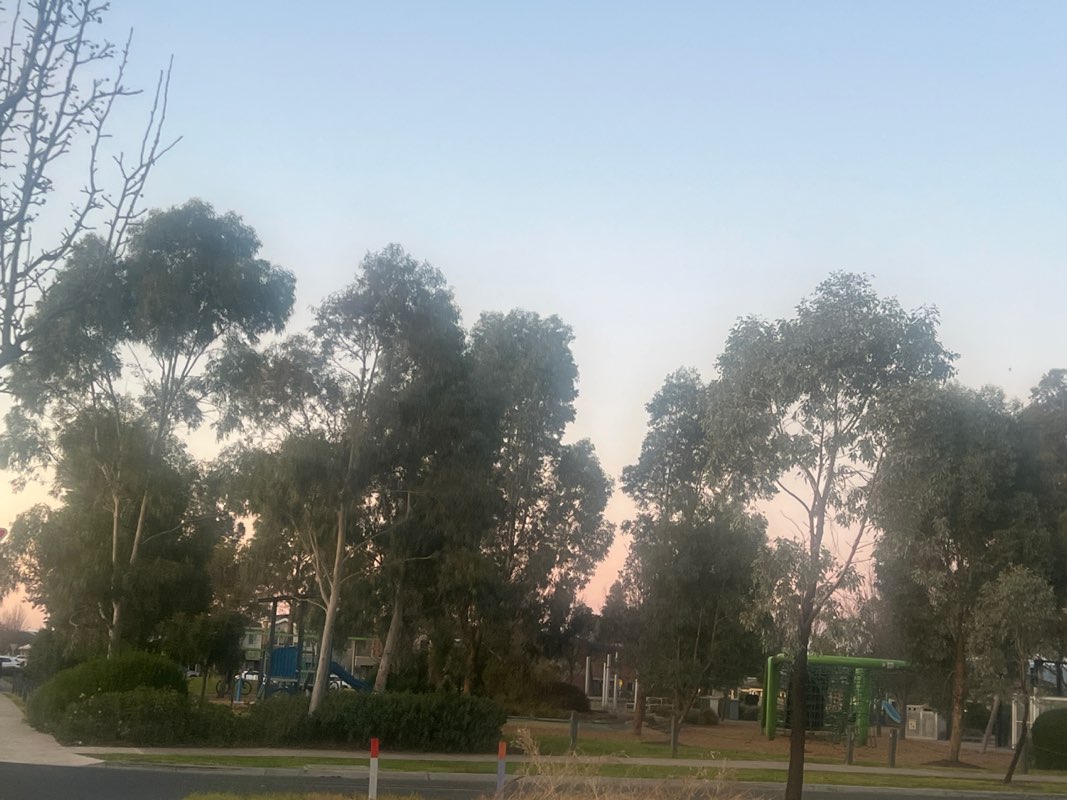 walking near me in Merrifield Community Park in spring