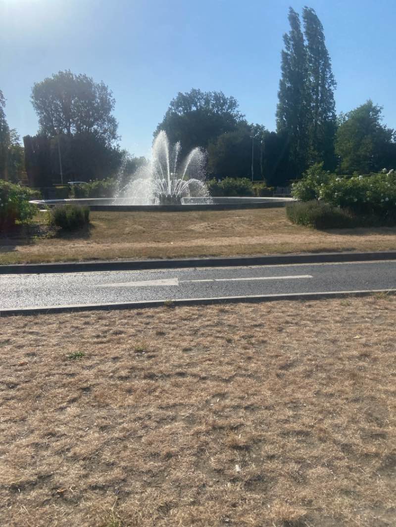 walking near me in The Campus Parkway in summer