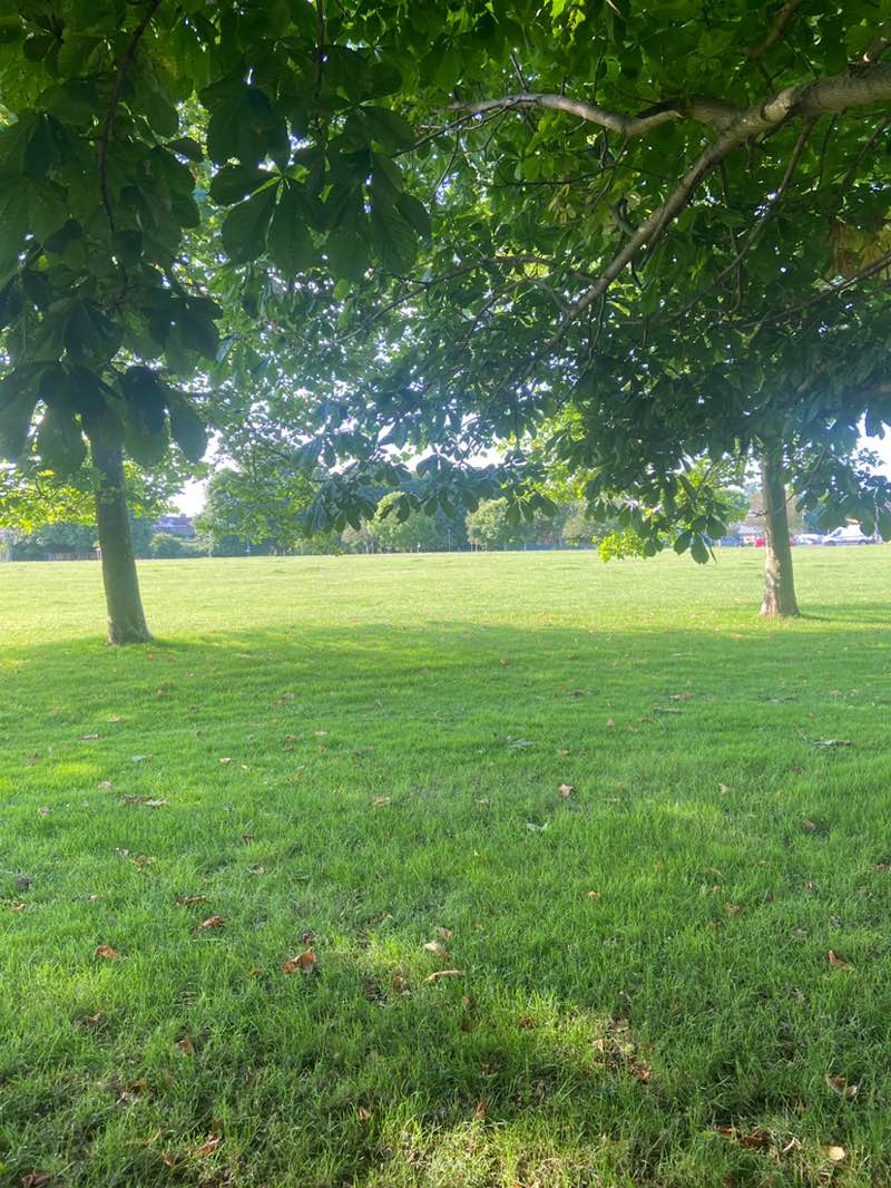 walking near me in Victoria Park in summer