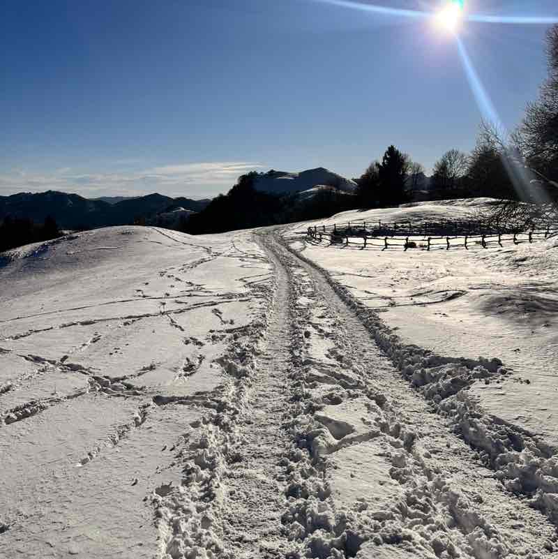 Les Vikings de l’Ouest Danilo post image
