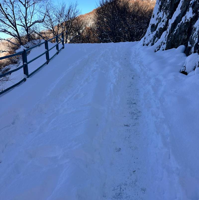 Les Vikings de l’Ouest Danilo post image