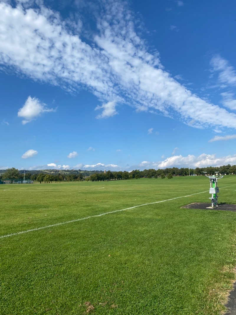 walking near me in Cowan Park in autumn
