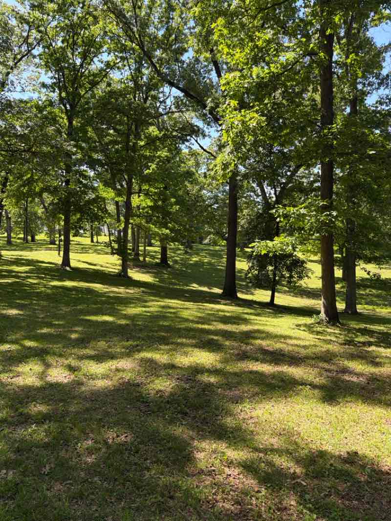 walking near me in Jefferson Barracks County Park in spring