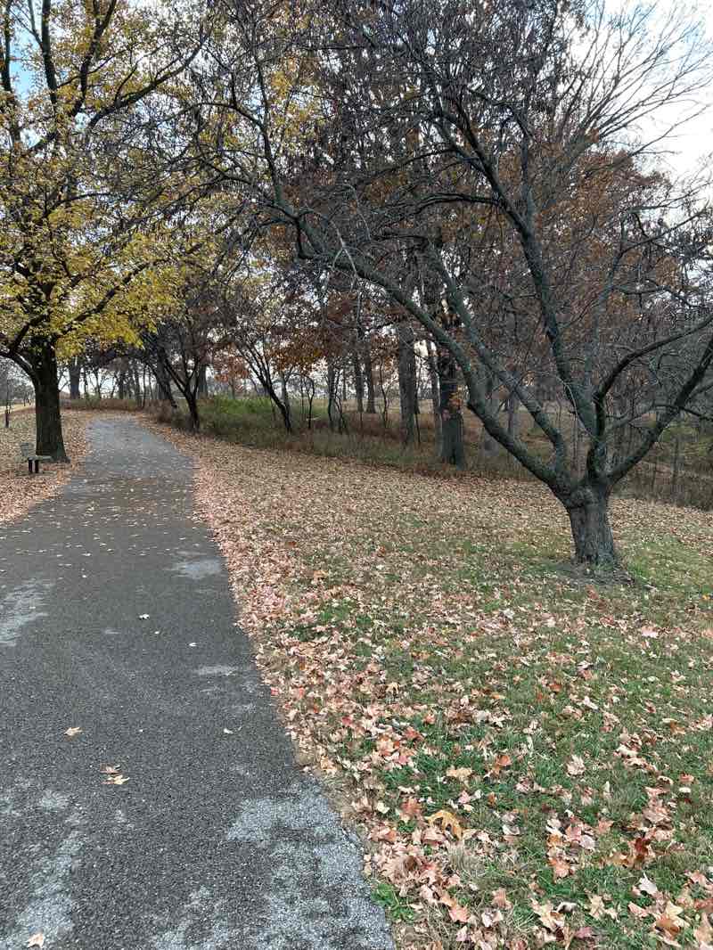 walking near me in Jefferson Barracks County Park in autumn