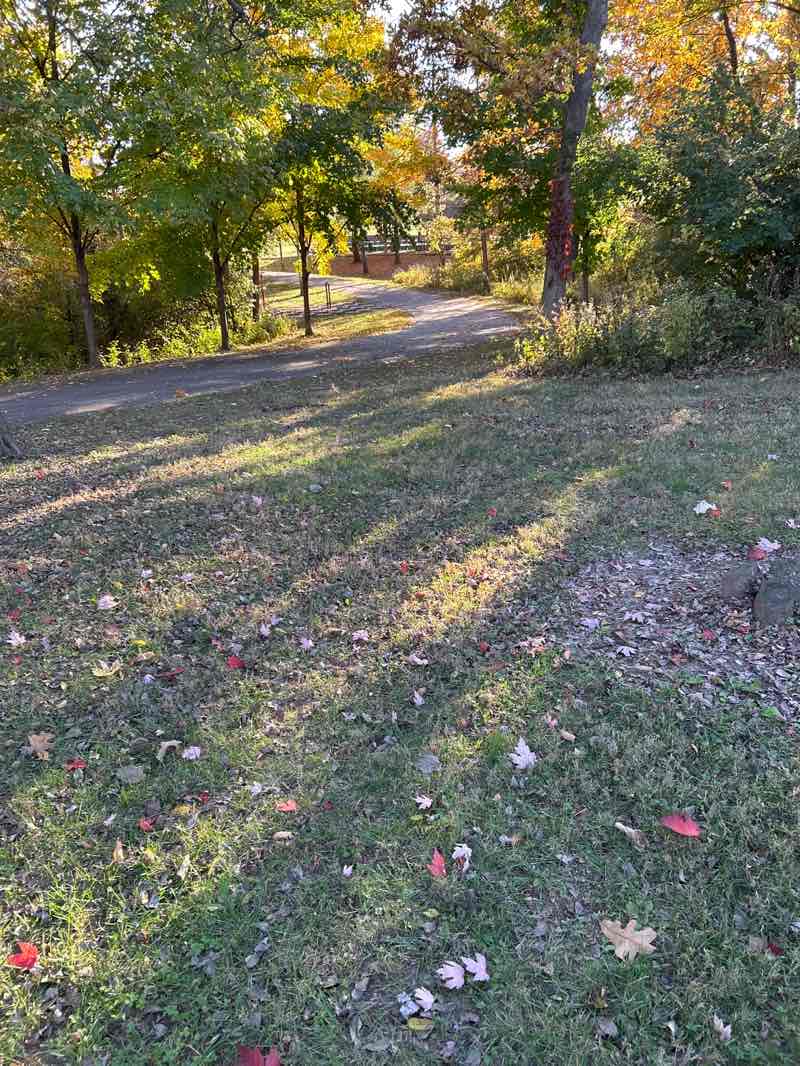 walking near me in Officer Blake C. Snyder Memorial Park in autumn